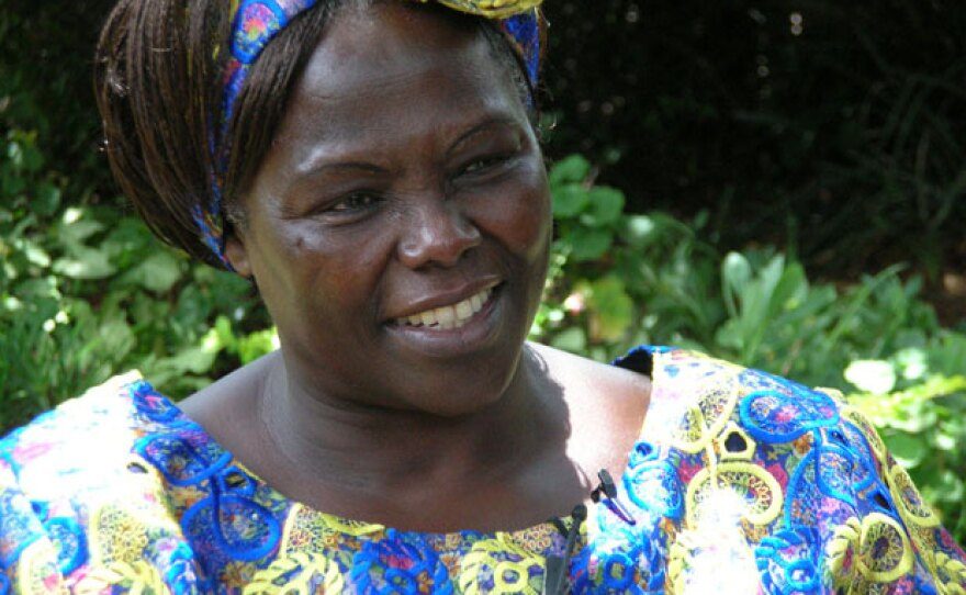 Read more about the article Wangari Maathai: Sowing the Seeds of Freedom, One Tree at a Time